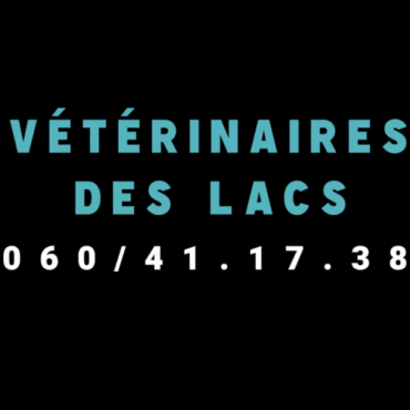 Vétérinaires des lacs